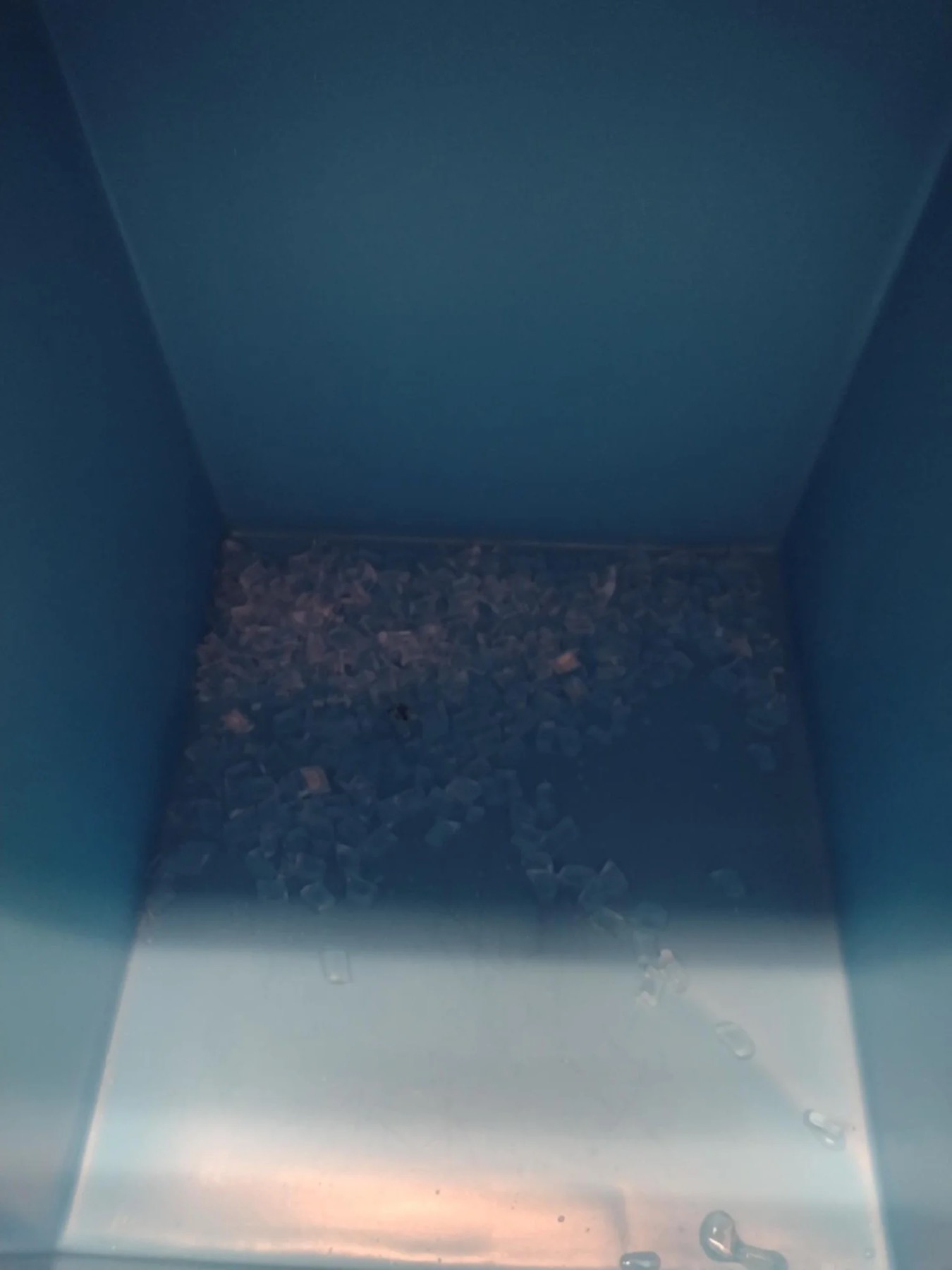 Fresh ice in the bin after the machine swap
